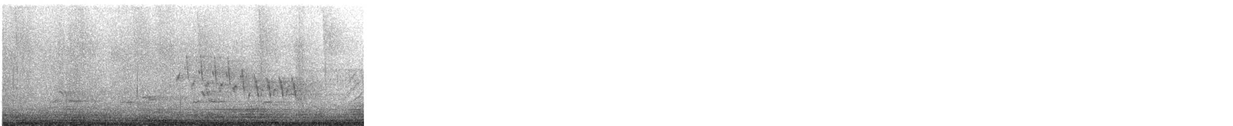 Northern House Wren - ML648862395