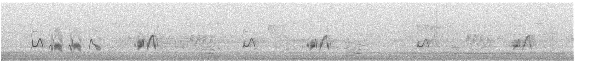 oreempid - ML648863524