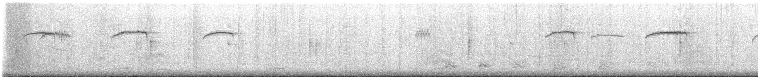 brkoslav americký - ML648865164