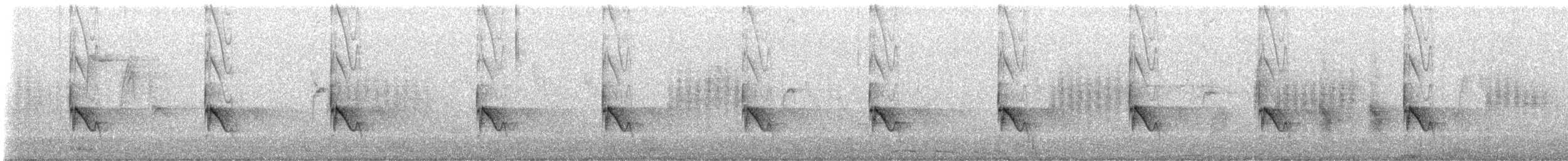 Hill Prinia - ML648866440