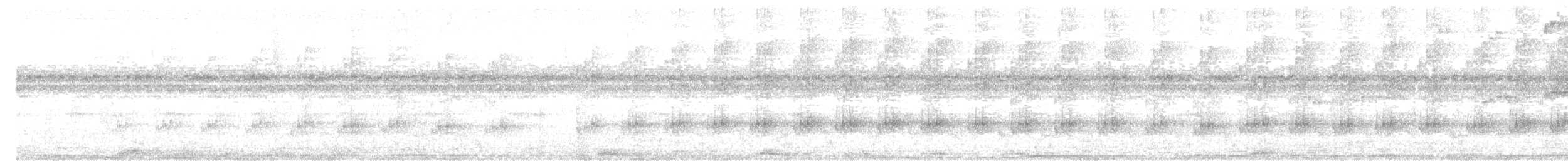 American Barn Owl (White-winged) - ML648866478