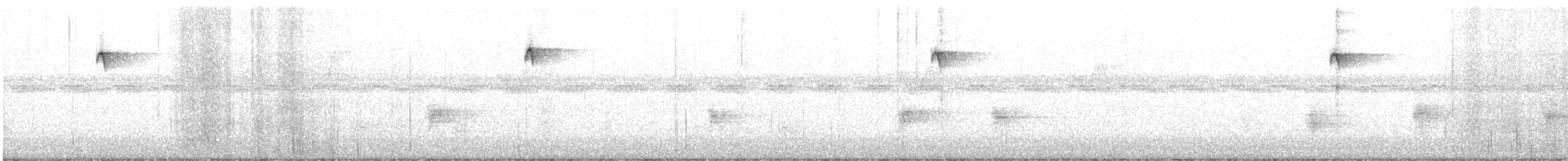 passerine sp. - ML648866493