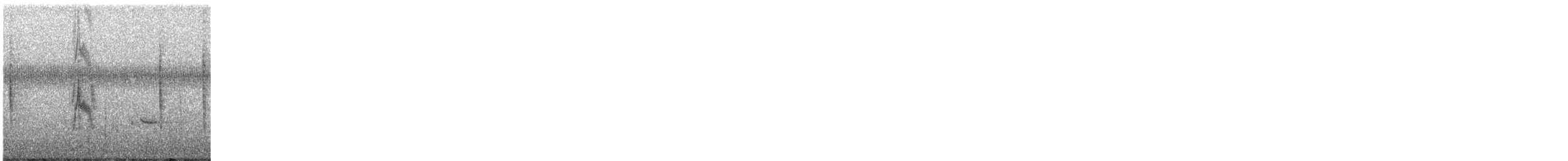 Richard's Pipit - ML648866509