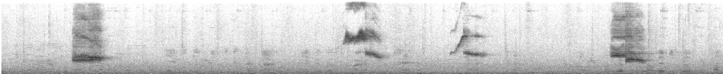 Black-collared Starling - ML648866525