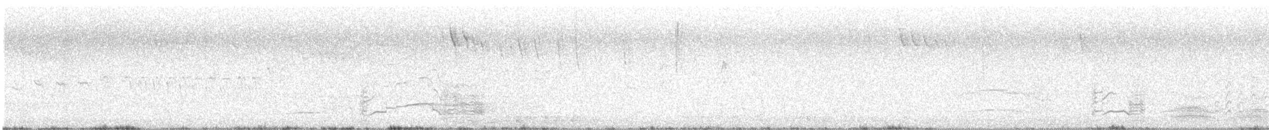 Yellow-tailed Black-Cockatoo - ML648869152