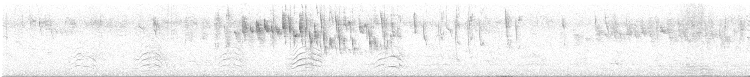 Yellow-tailed Black-Cockatoo - ML648869153