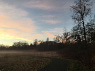 Surrey--Fergus Watershed Biodiversity Preserve, Metro Vancouver ...