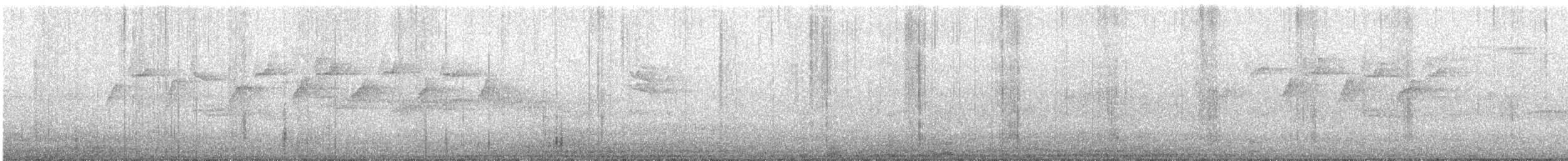 Coal Tit (Continental) - ML648871599