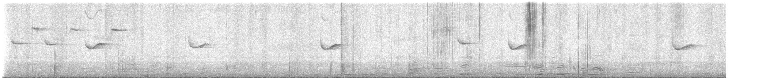 Coal Tit (Continental) - ML648871603