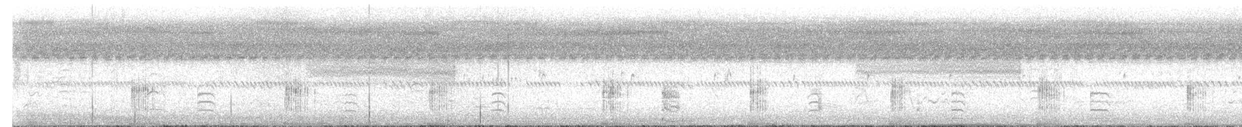 Lewin's Rail - ML648871768