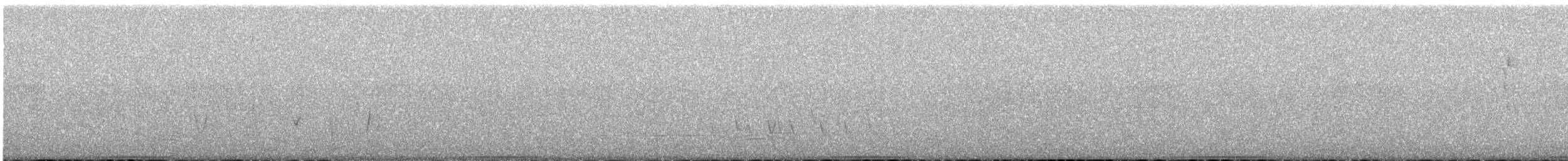 Common Bronzewing - ML648871889