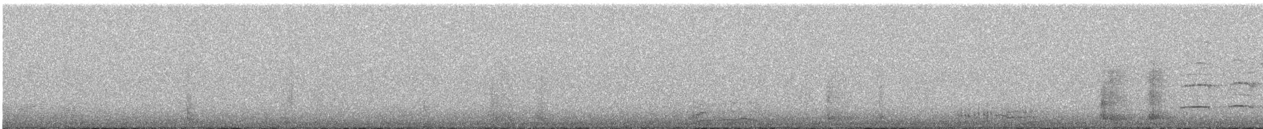 Western Bowerbird - ML648871985