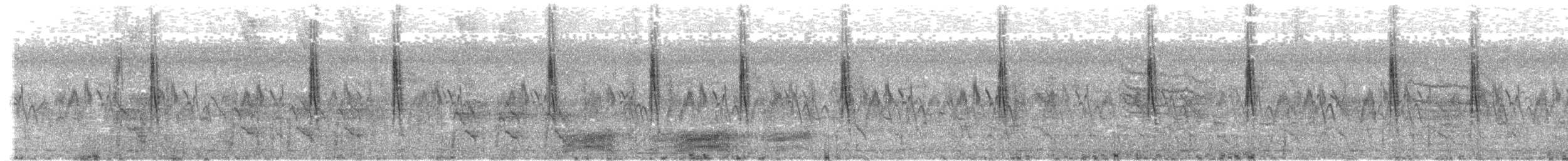 Paddyfield Pipit - ML648872049