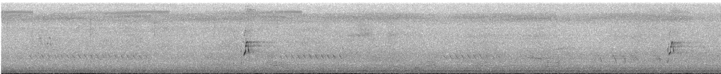 Buff-banded Rail - ML648873605