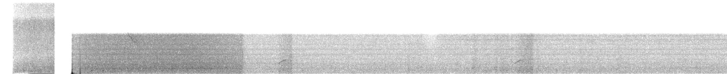 Blackish Tapaculo - ML648873618