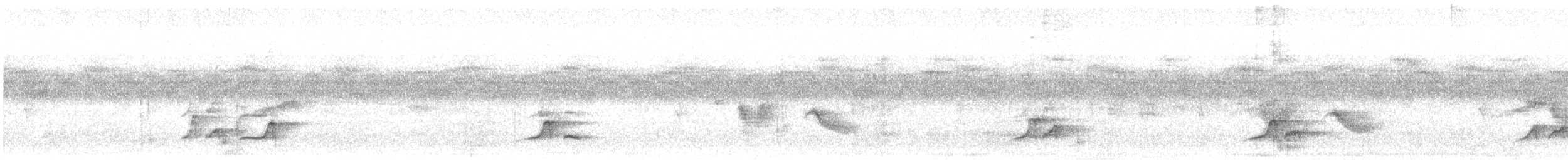 Lesser Honeyguide - ML648873728