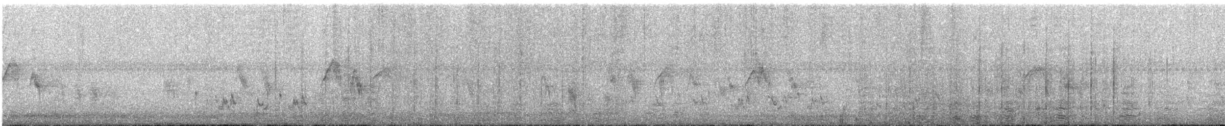 Great Cormorant - ML648874623