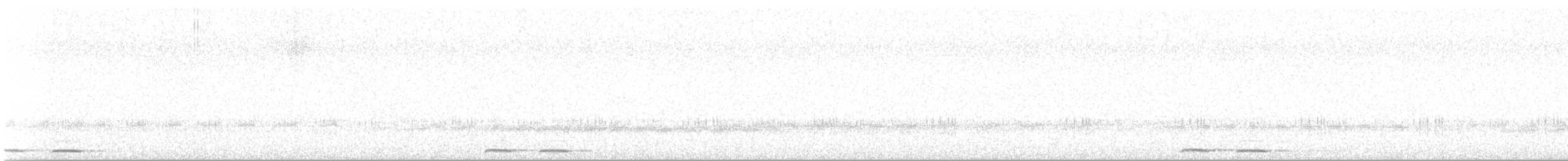 Tasmanian Boobook - ML648876599