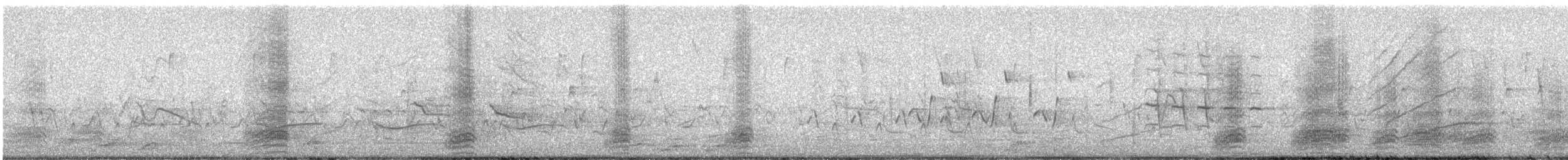 Chihuahuan Raven - ML648880485