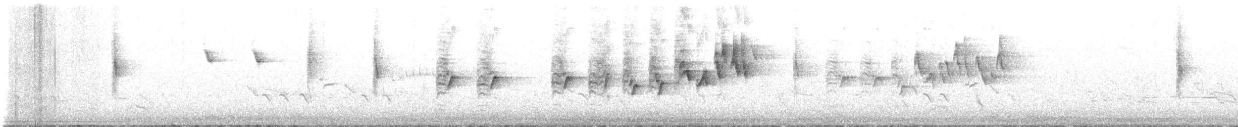 White-bellied Sunbird - ML648881189