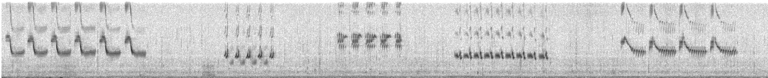 Rock Wren - ML648881409