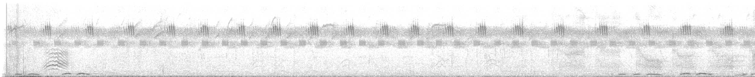 Red-eyed Dove - ML648881419