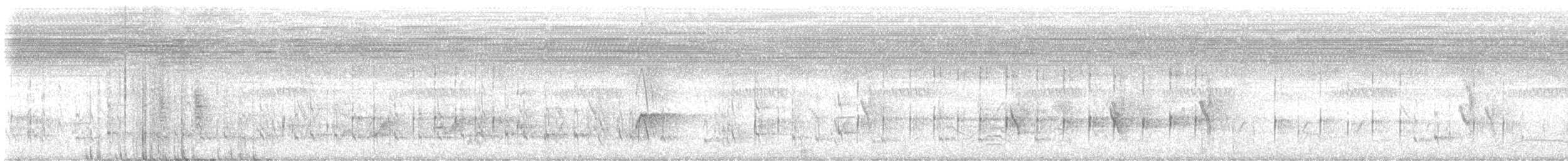 White-crowned Lapwing - ML648881676