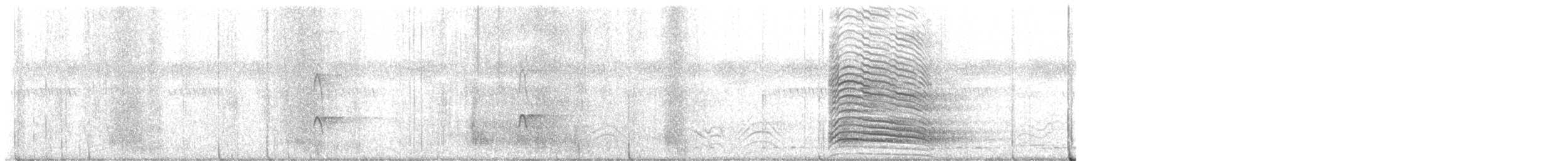 Hadada Ibis - ML648881684