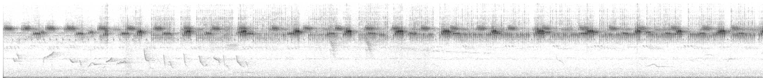 Moustached Grass-Warbler - ML648884096