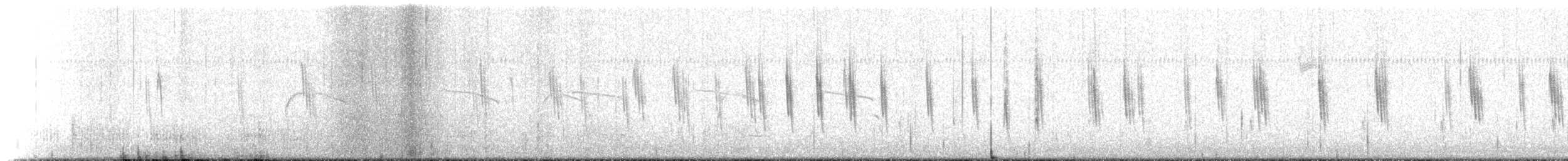 זרון אמריקני - ML648885254