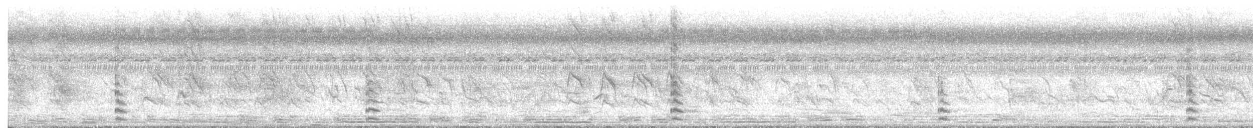 Eurasian Coot - ML648888631