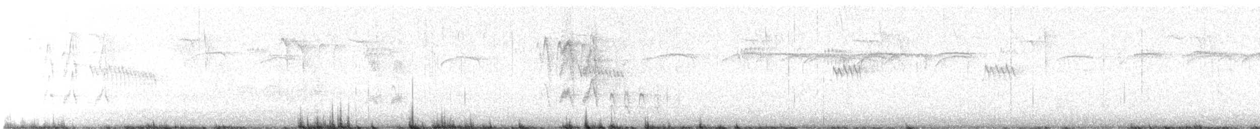 ציצנית - ML648890798