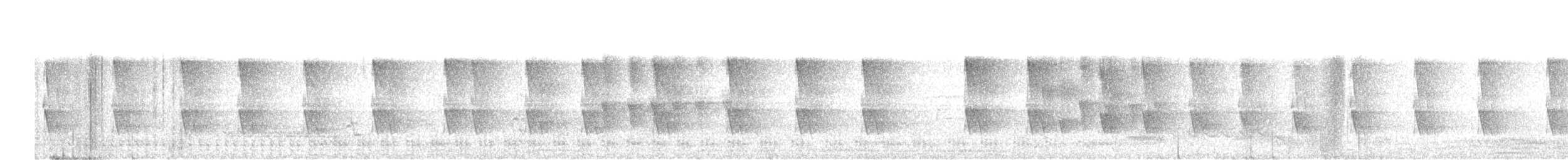 Graubeinralle - ML648891167