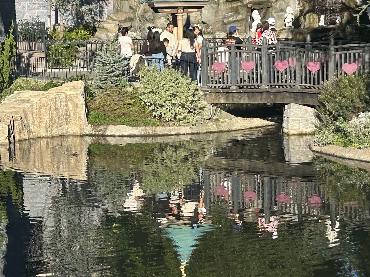 Germano reale - ML648891331