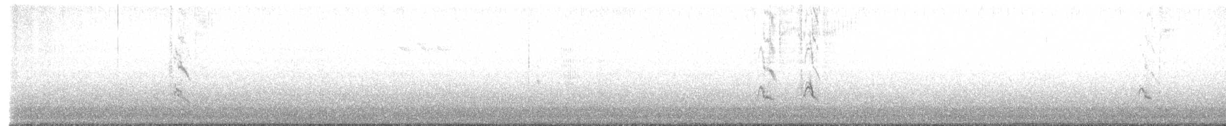 knoppsvane - ML648892523