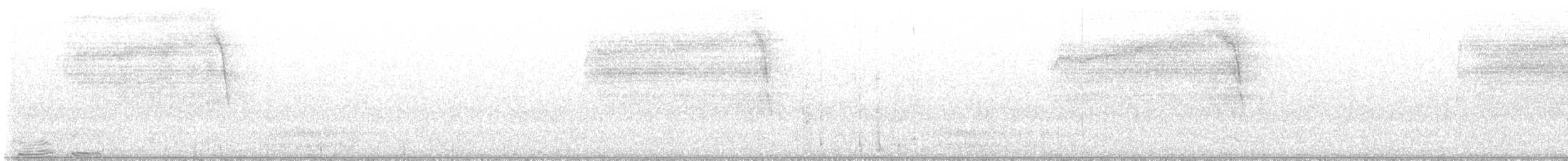 Barred Owl - ML648892622