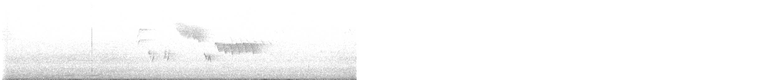 Bewick Çıtkuşu - ML648893540