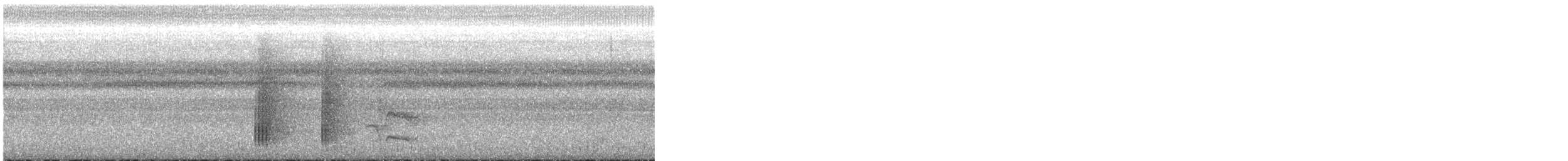 White-bearded Manakin - ML648893915