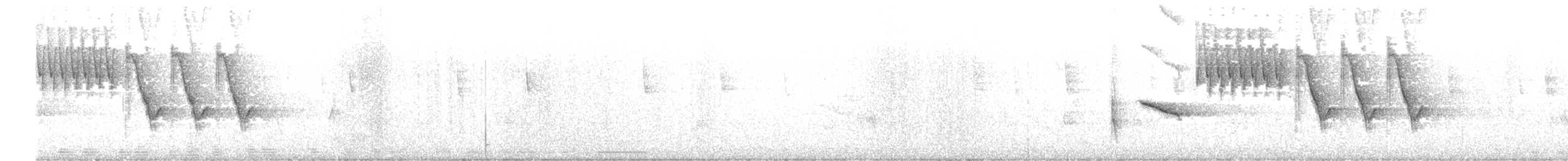 Collared Towhee - ML648894276