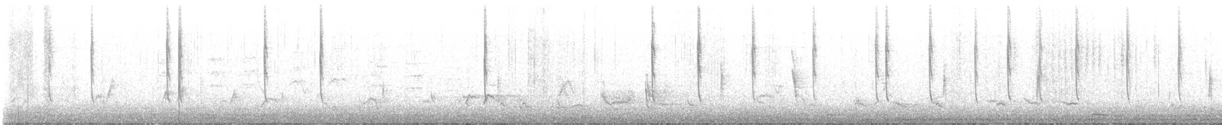 Broad-tailed Hummingbird - ML648895014