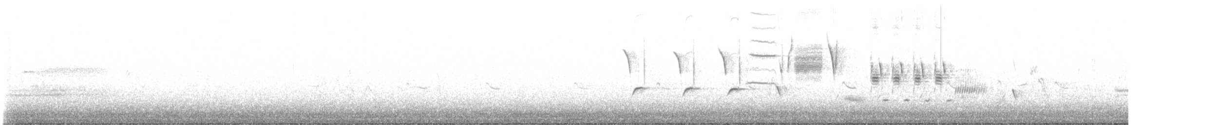 גיבתונית רוננת - ML648895105