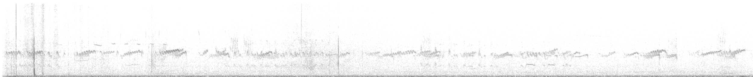 חופית זעירה - ML648895933