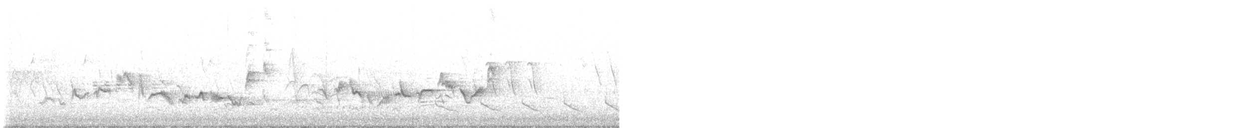 Eastern Warbling Vireo - ML648896261