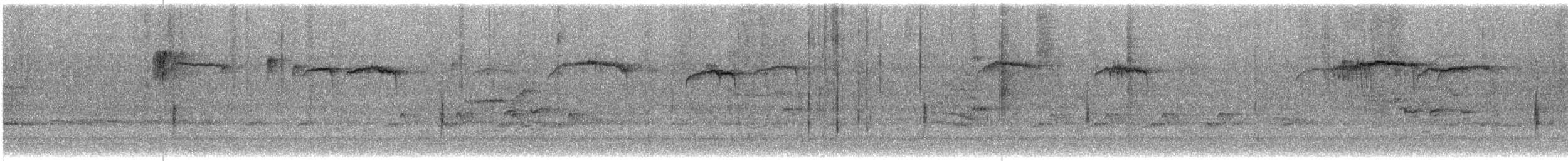 brkoslav americký - ML648897006