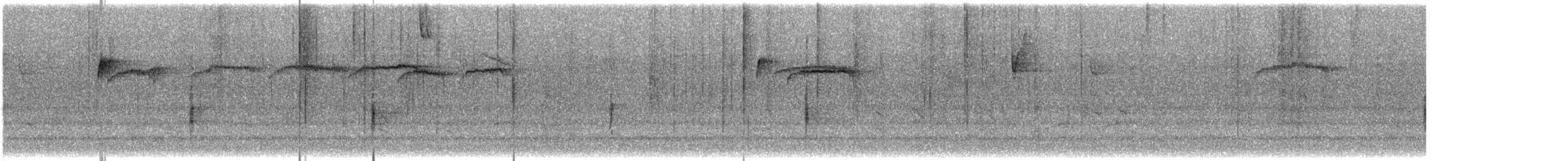 brkoslav americký - ML648897010