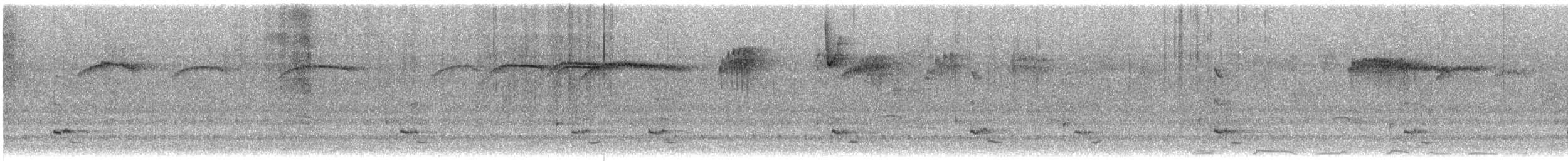 brkoslav americký - ML648897013