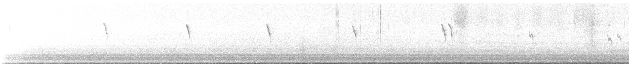 פפיון אמריקני - ML648897265