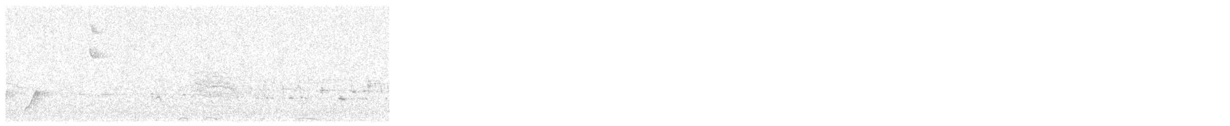 Black-capped Gnatcatcher - ML648900927