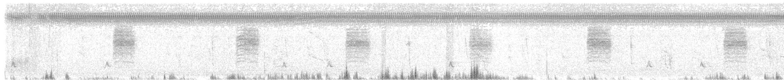 Black-capped Gnatcatcher - ML648900965