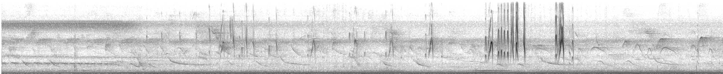 Short-tailed Swift - ML648901346